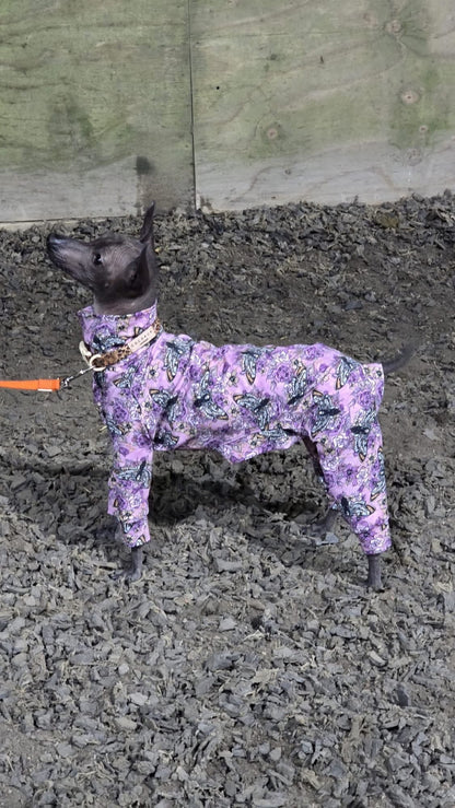 Jersey Suit - Purple Moths