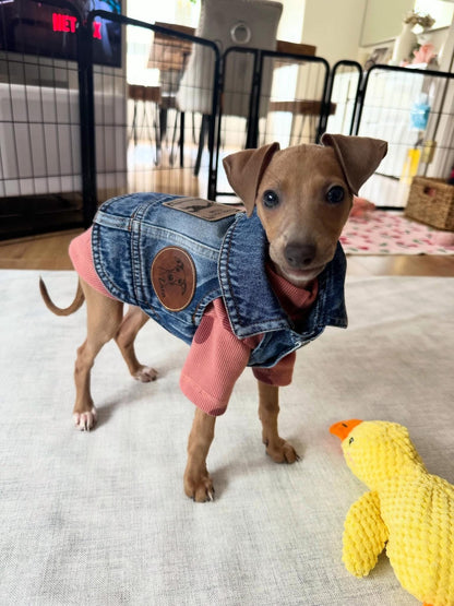 Denim Jacket - Cool Iggy Club