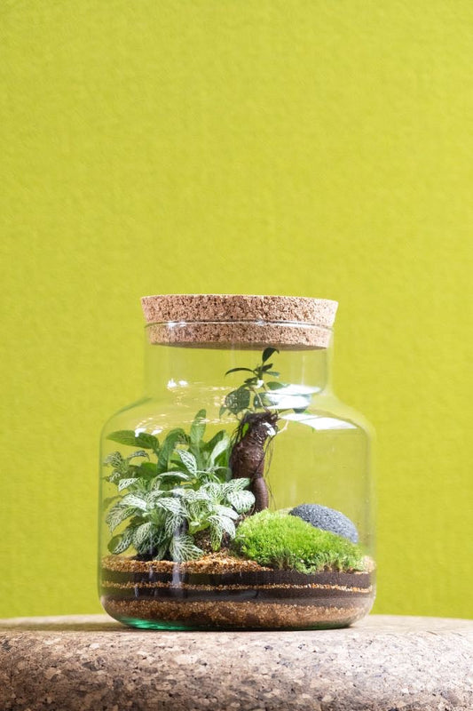 Tall Cork Jar Kit- Large