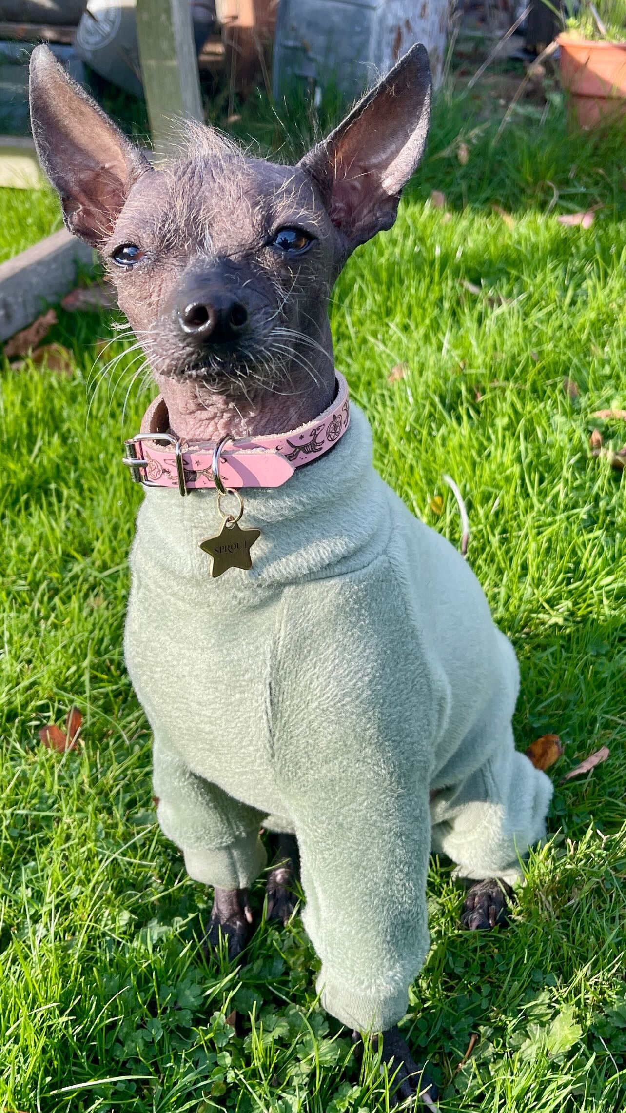 Fleece Lined Sweatshirt - Sage Green