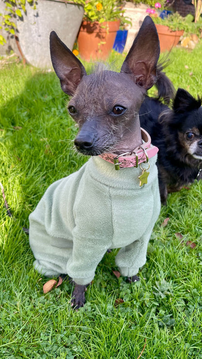 Fleece Lined Sweatshirt - Sage Green
