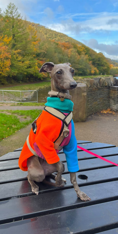 Fleece Jumper - Neon Colour Block
