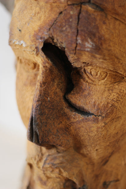 Rizimu Chiwawa Carved Driftwood Head Sculpture - Zimbabwe