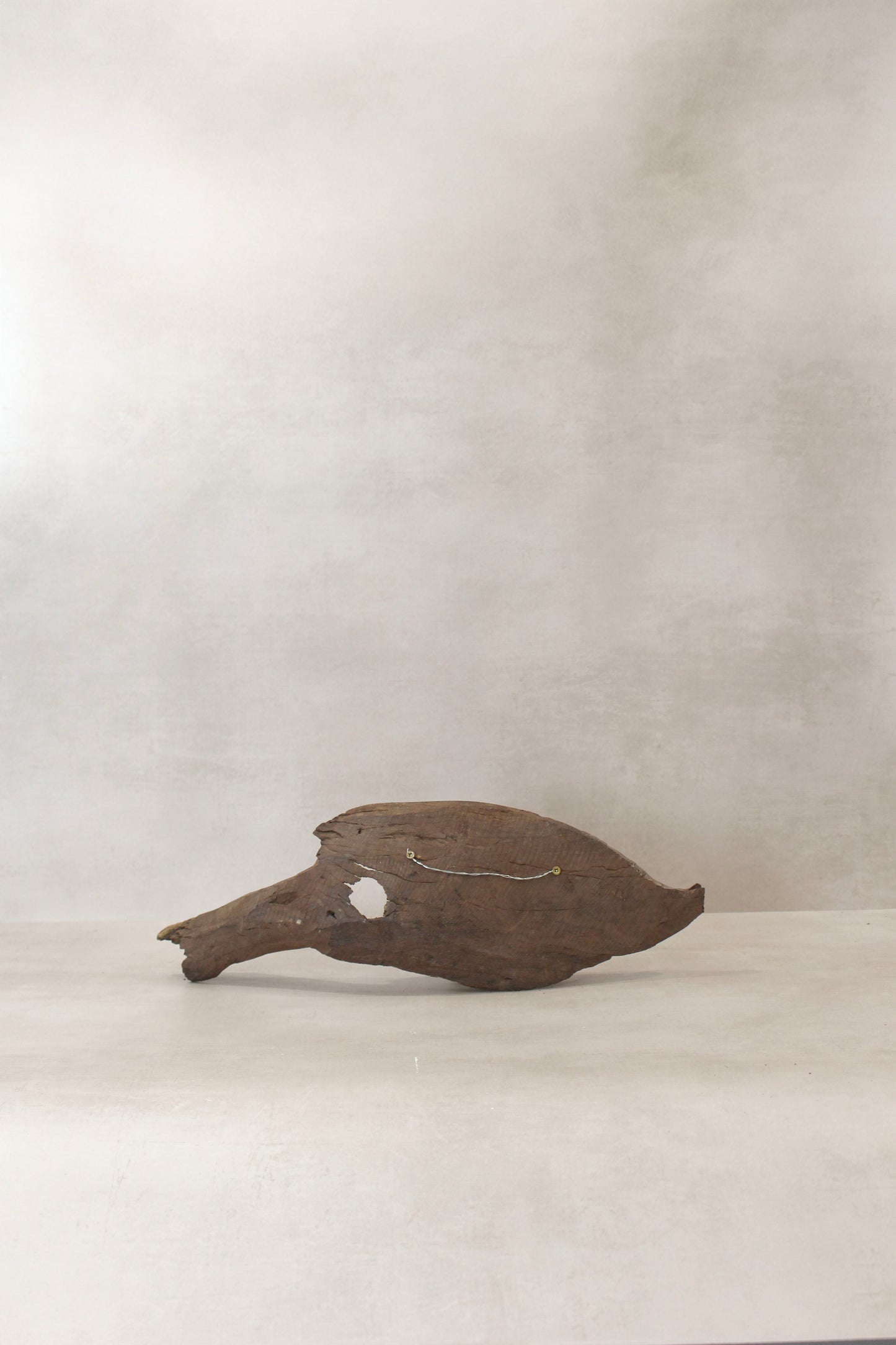 Driftwood Hand Carved Fish - (14.3)