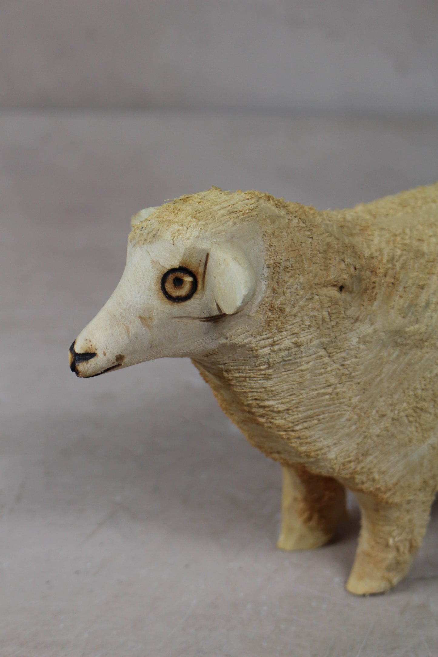 Swazi Sheep 141.3