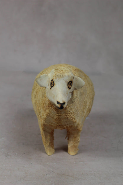 Swazi Sheep 141.3