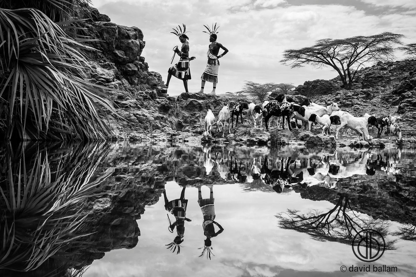 David Ballam - KANA_35