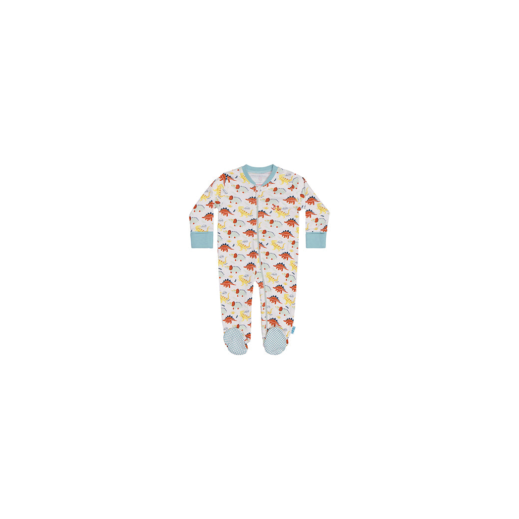 Baby grow dino print