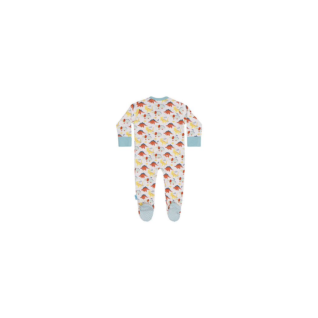 Baby grow dino print
