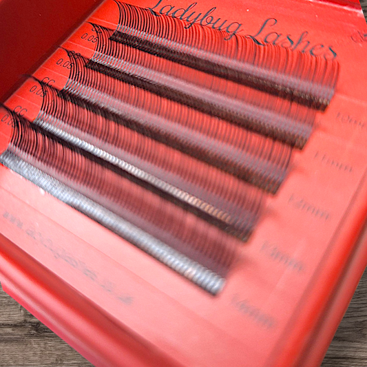 Sample Tray Pre-Made Angel Lash Fans