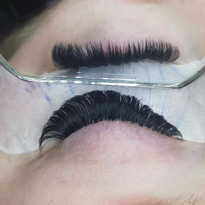 Easy Fans Sample Tray – Matte Black Lashes