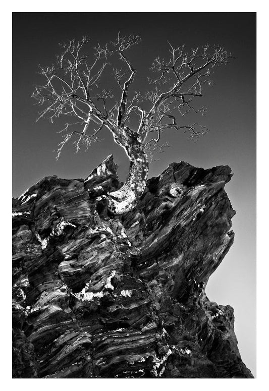 David Ballam - NAM06