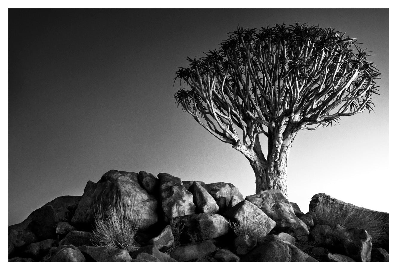 David Ballam - NAM15