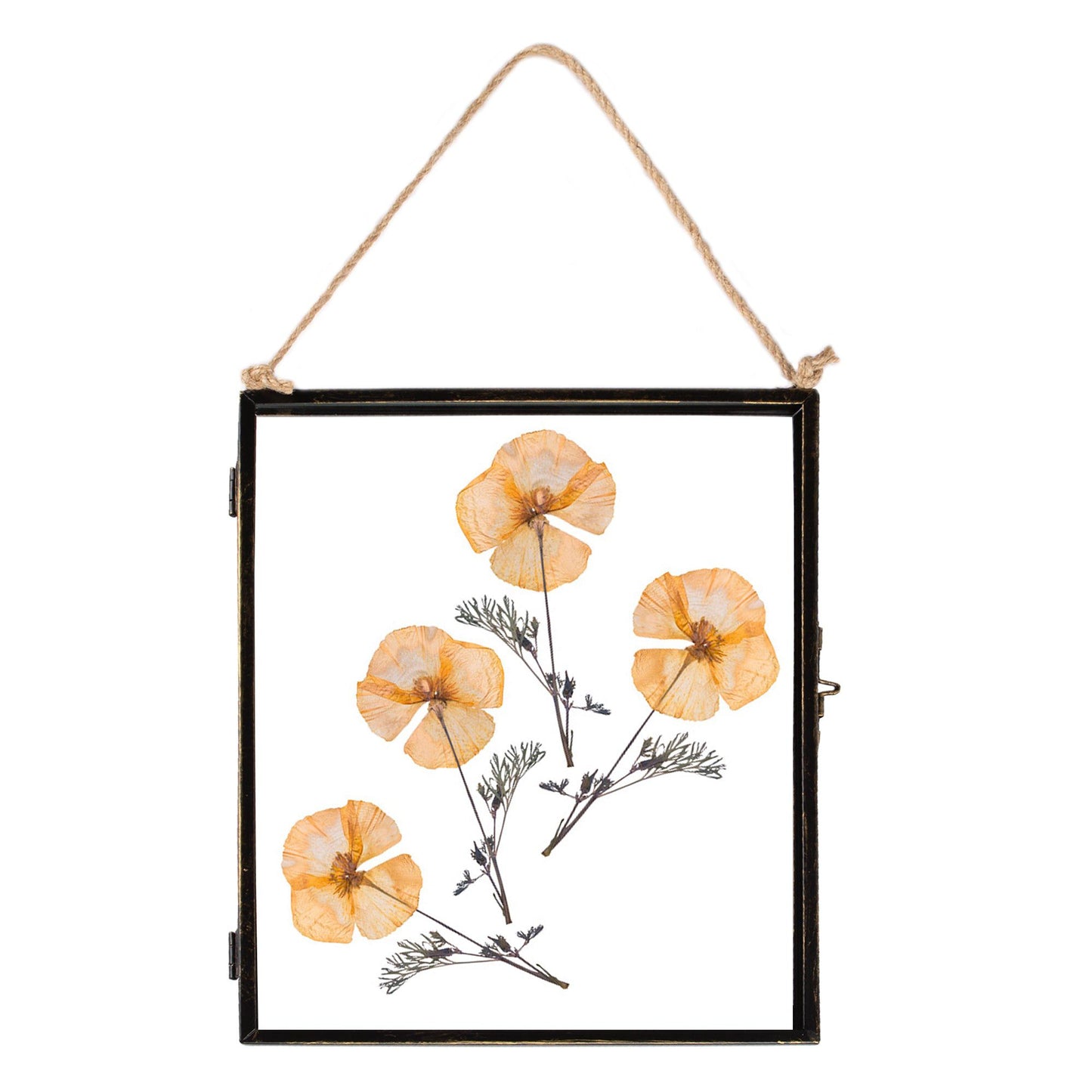 8" x 10" Black Hanging Metal Photo Frame