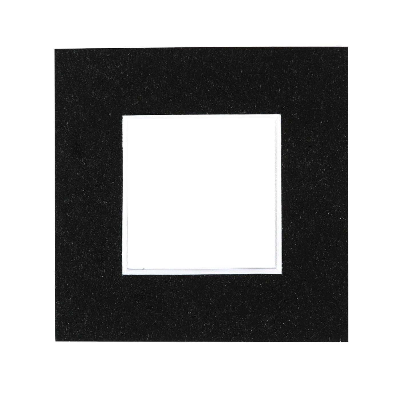 2" x 2" Picture Mount for 4" x 4" Frame