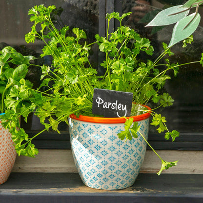 6cm x 12cm Slate Plant Markers - Pack of Six