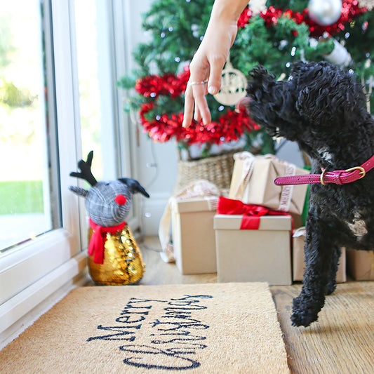 60cm x 40cm Merry Christmas Coir Door Mat