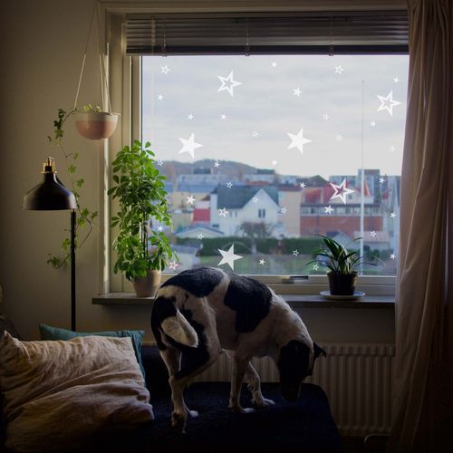 White or Red Star Window Cling Decoration - Reusable