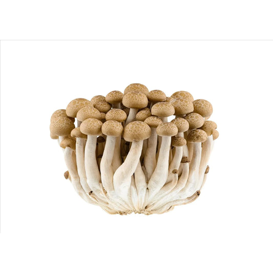 Fresh Brown Shimeji Mushroom 150g