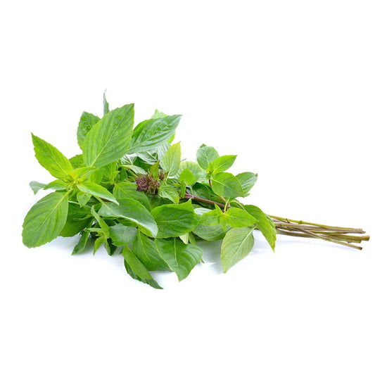 Fresh Sweet Basil/Rau Húng Quế 100g