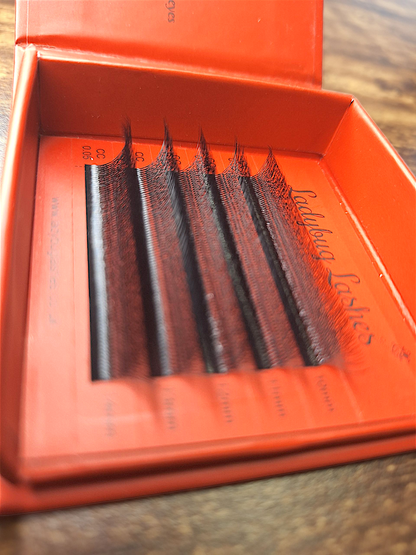 Try me! Sample Tray – 6D Clover Lashes