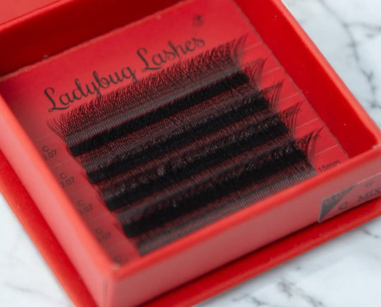 W Lash Sample Tray