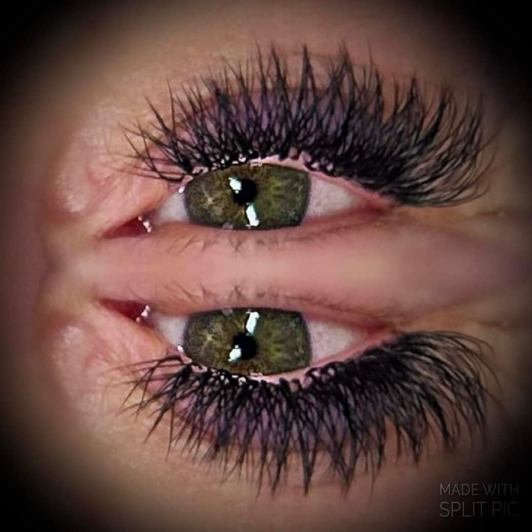 W Lash Sample Tray