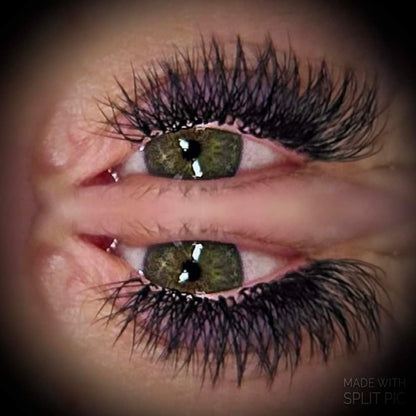 W Lash Sample Tray