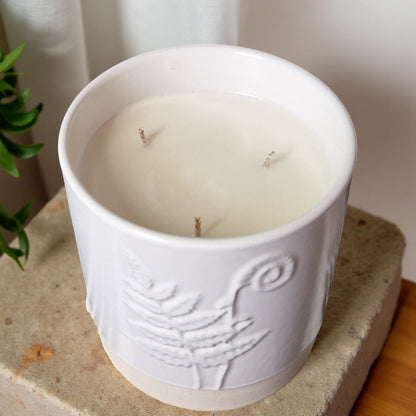3-Wick Candle in White Ceramic Fern Pot | Velvet Tonka