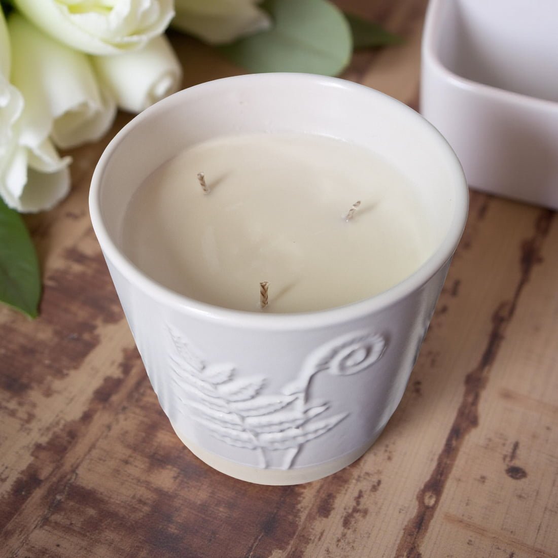 3-Wick Candle in White Ceramic Fern Pot | Velvet Tonka