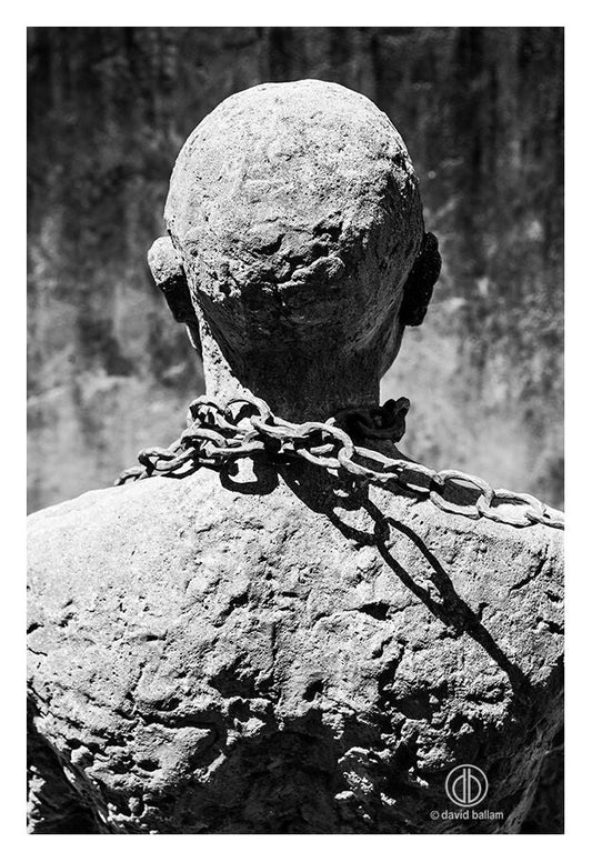 David Ballam - ZAN_10