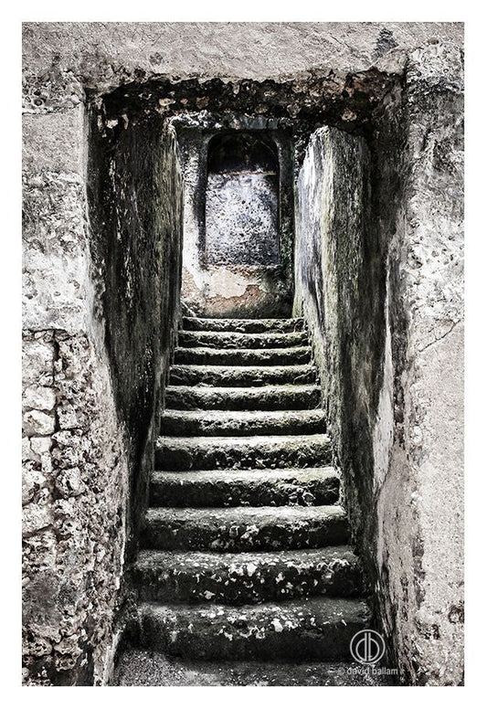 David Ballam - ZAN_12