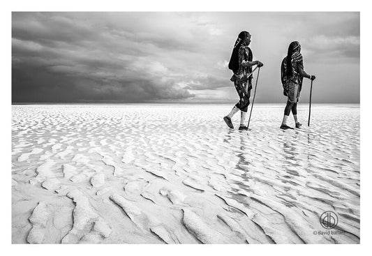 David Ballam - ZAN_38