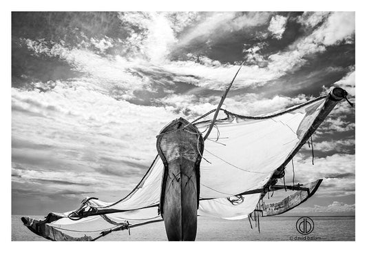 David Ballam - ZAN_45