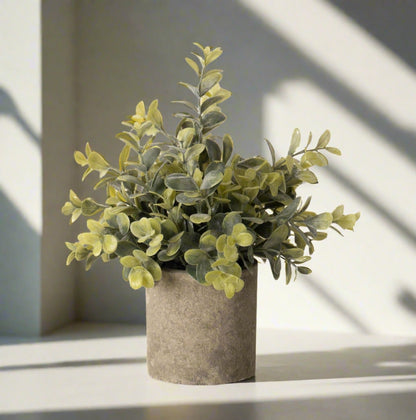 Artificial Eucalyptus Plant In Stone Effect Pot