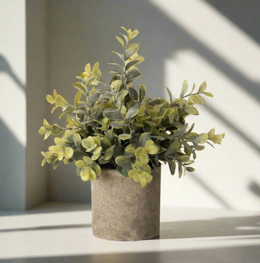 Artificial Eucalyptus Plant In Stone Effect Pot