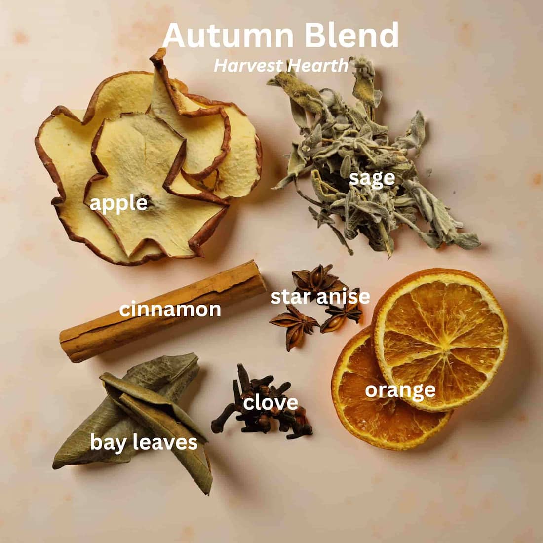 Seasonal Simmer Pot Blends – Natural Botanical Stove Scents