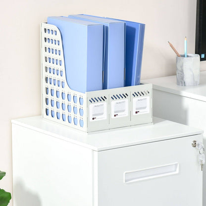 Vinsetto Mobile File Cabinet Home Filing Furniture with Adjustable Partition and Lock