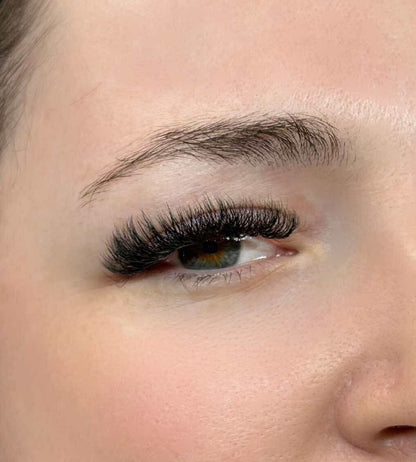 8D Clover Lash Tray Single Lengths