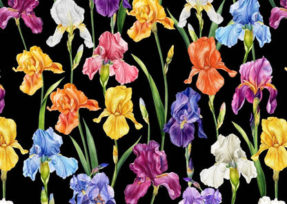 Multicolor Floral Pattern Fabric Big Flowers on Black Background – Fabric by Metre, Options: Satin, Crepe, Spandex, Chiffon