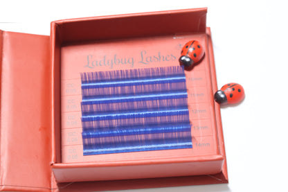 🌈 Bold Colour Volume Lashes 🌈 0.05mm • 5-Row Tray • 10–14mm Mix