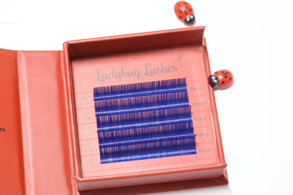🌈 Bold Colour Volume Lashes 🌈 0.05mm • 5-Row Tray • 10–14mm Mix