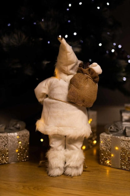 Santa Claus Light Up Standing Figure LED Decoration