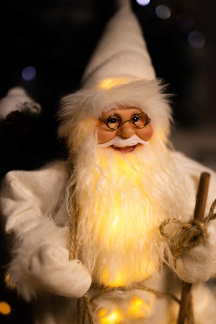 Santa Claus Light Up Standing Figure LED Decoration