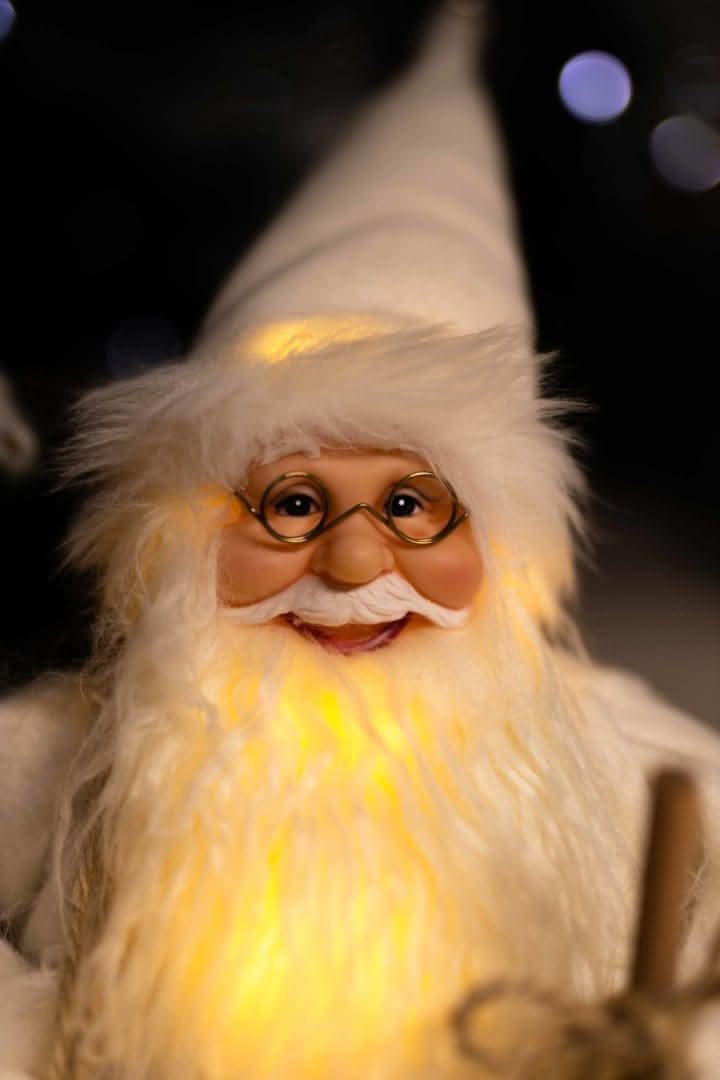 Santa Claus Light Up Standing Figure LED Decoration