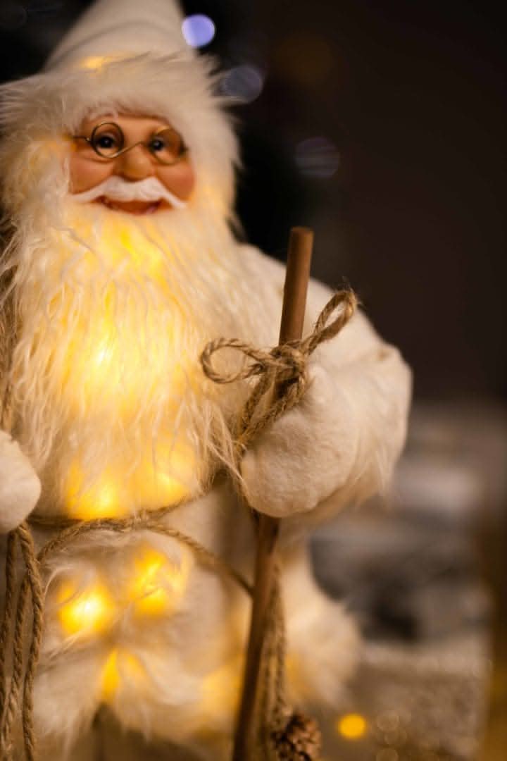 Santa Claus Light Up Standing Figure LED Decoration