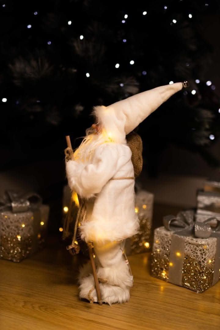 Santa Claus Light Up Standing Figure LED Decoration
