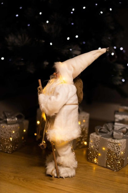 Santa Claus Light Up Standing Figure LED Decoration
