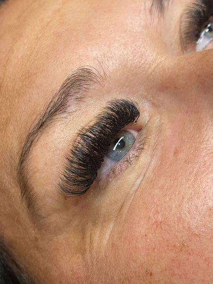 10D Clover Lashes Single Length