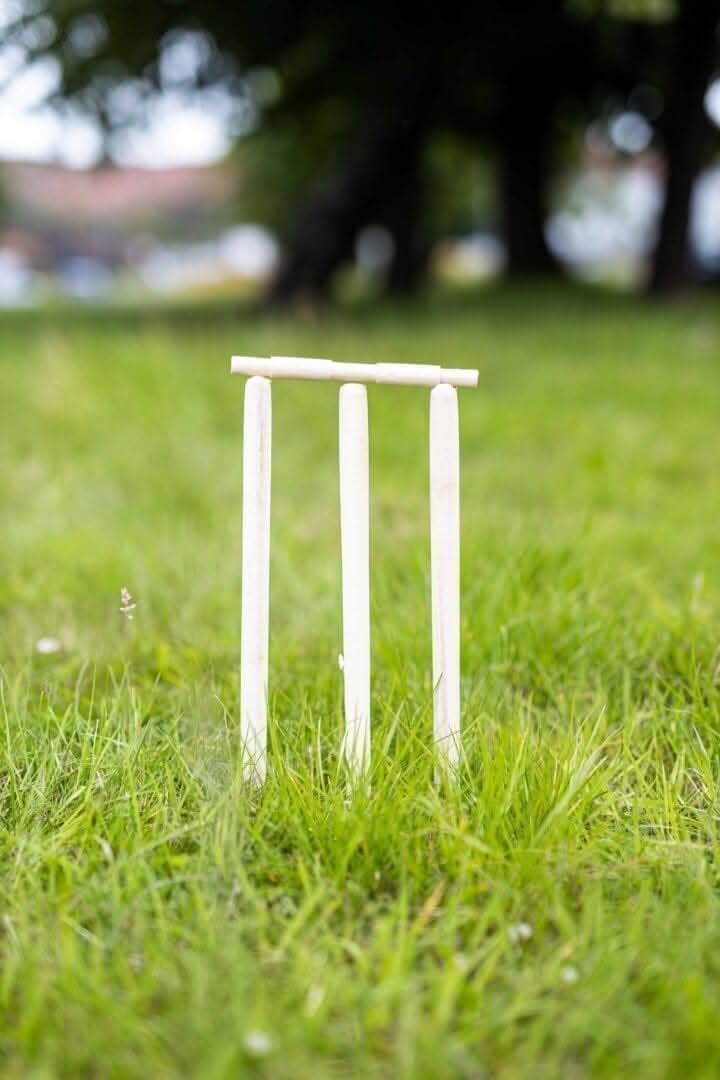 Novelty 8 Piece Wooden Cricket Set & Carry Bag